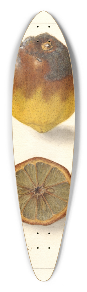 Ellen Isham Schutt - Citrus limon: Eureka 39.3 inch art pintail longboard deck