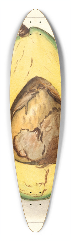 Ellen Isham Schutt - Persea: Johnstone 39.3 inch art pintail longboard deck