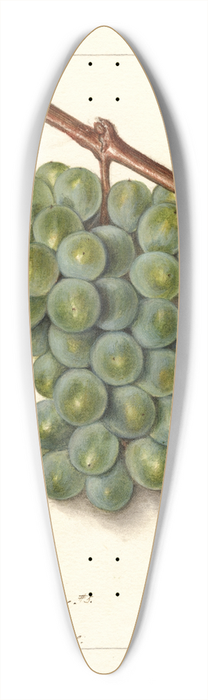 Ellen Isham Schutt - Vitis: Geraldine Studley 39.3 inch art pintail longboard deck