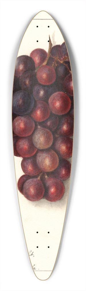 Ellen Isham Schutt - Vitis: Masters Roosevelt 39.3 inch art pintail longboard deck
