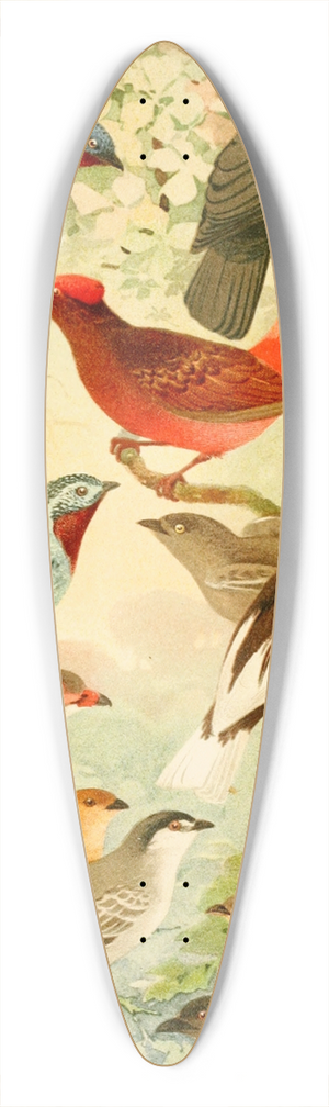Emil August Gldi - Anambs 39.3 inch art pintail longboard deck