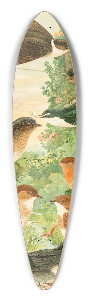 Emil August Gldi - Andorinhas 39.3 inch art pintail longboard deck
