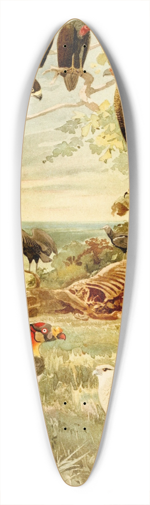 Emil August Gldi - Gavies 39.3 inch art pintail longboard deck