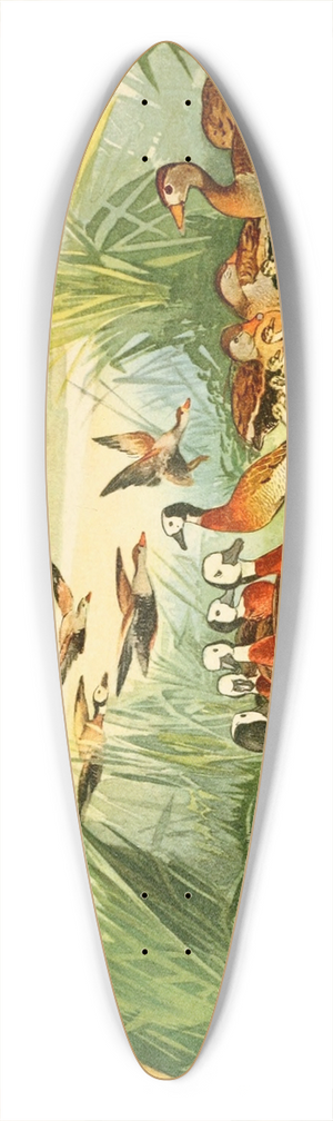 Emil August Gldi - Marrecas 39.3 inch art pintail longboard deck