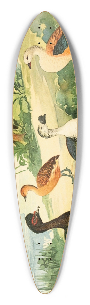Emil August Gldi - Marreco, Patos, Marrecas 39.3 inch art pintail longboard deck