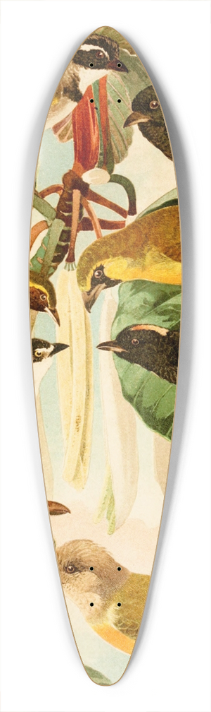 Emil August Gldi - Pipiras 39.3 inch art pintail longboard deck