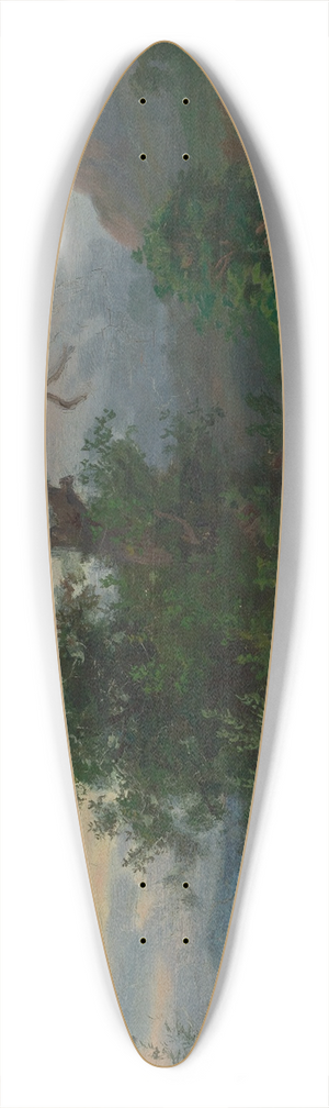 Emil Lugo - Bergsee mit Storch 39.3 inch art pintail longboard deck
