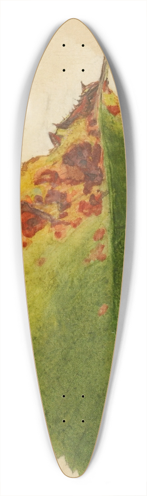 Emma Beach Thayer - Crumpled and Withered Leaf Edge Mimicking Caterpillar 39.3 inch art pintail longboard deck