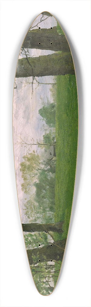 Erik Werenskiold - Green Fields 39.3 inch art pintail longboard deck