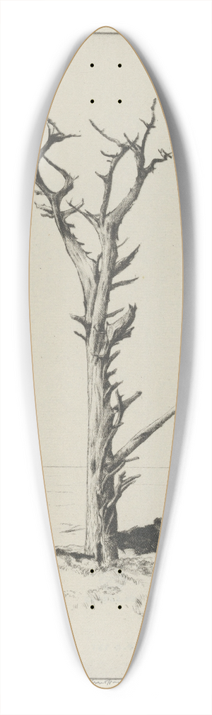 Ernest Haskell - Solitude 39.3 inch art pintail longboard deck