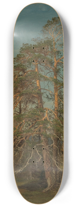 Amaldus Nielsen - Furuer, Levanger 8.25 inch art skate deck