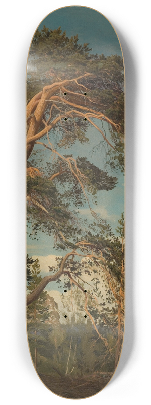 Amaldus Nielsen - Gammel furu, verst i Setesdal 8.25 inch art skate deck