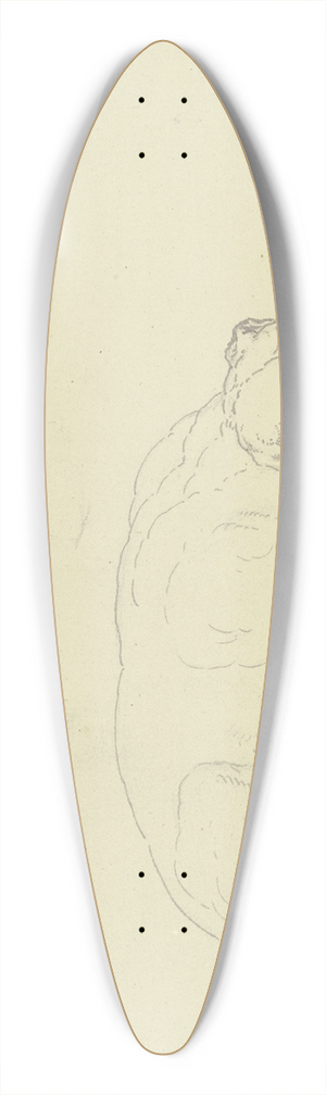 Ferdinand Fellner - Sleeping dog 2 39.3 inch art pintail longboard deck
