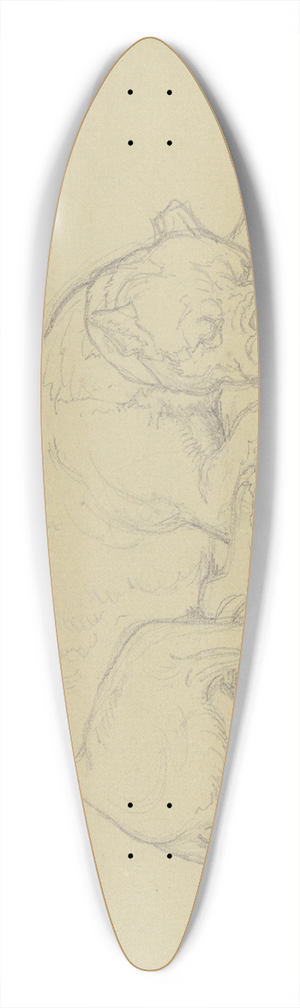 Ferdinand Fellner - Sleeping dog 39.3 inch art pintail longboard deck