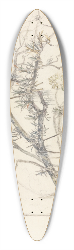Ferdinand Keller - Aststudie mit Schlinggewchsen am Ufer des Parahyba 39.3 inch art pintail longboard deck