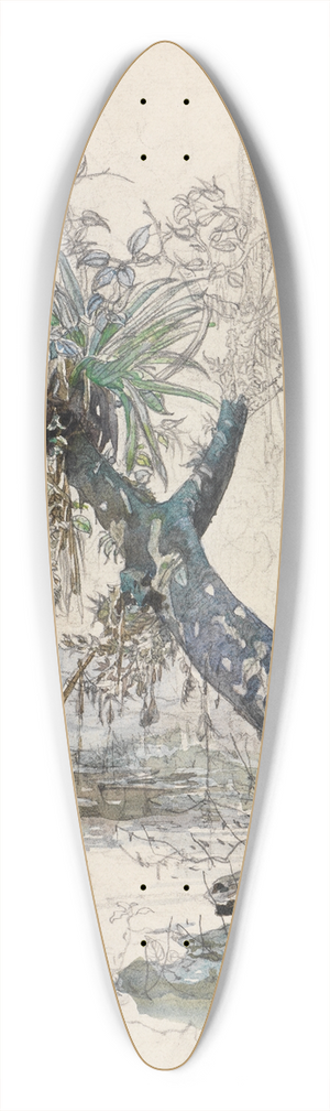 Ferdinand Keller - Baumzweig mit Lianen an einem Urwaldfluss 39.3 inch art pintail longboard deck