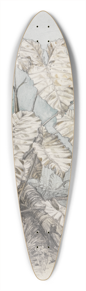 Ferdinand Keller - Blattgewchs im Urwald 39.3 inch art pintail longboard deck