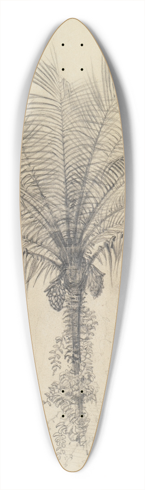 Ferdinand Keller - Palmstudie II 39.3 inch art pintail longboard deck