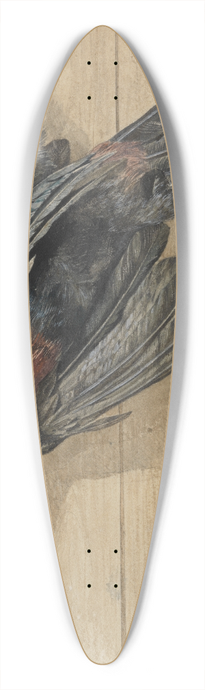 Ferdinand Keller - Studie eines toten Tukan-Vogels 39.3 inch art pintail longboard deck