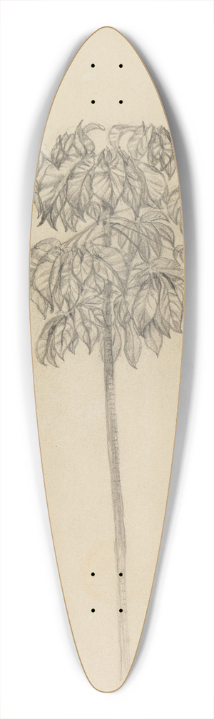 Ferdinand Keller - Studie Faultierbaum 39.3 inch art pintail longboard deck