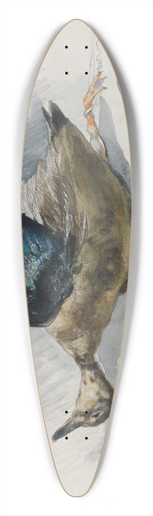 Ferdinand Keller - Zwei Studien eines Vogels 39.3 inch art pintail longboard deck