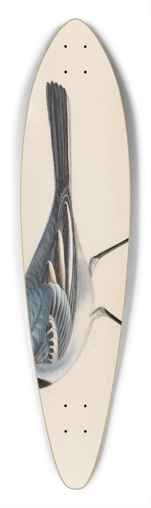Ferdinand von Wright - White Wagtail 39.3 inch art pintail longboard deck