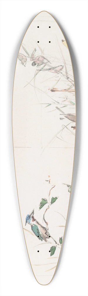 Flix Bracquemond - Le calme. 39.3 inch art pintail longboard deck