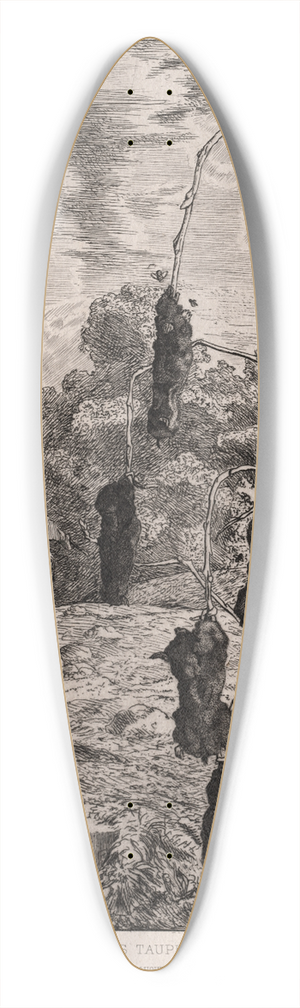 Flix Bracquemond - Moles 39.3 inch art pintail longboard deck