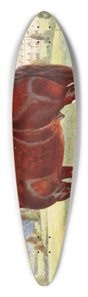 Frank Babbage - Shire Stallion, Harold 39.3 inch art pintail longboard deck