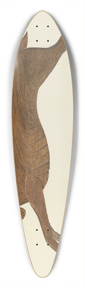 Frank Budash - Weather Vane 39.3 inch art pintail longboard deck
