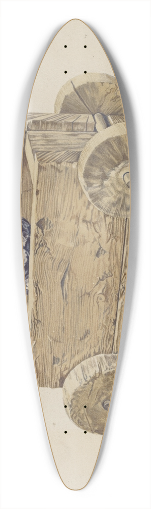 Frank Eiseman - Miners Cart 39.3 inch art pintail longboard deck