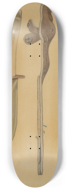 Jesse W. Skeen - Sheath Knife 8.25 inch art skate deck