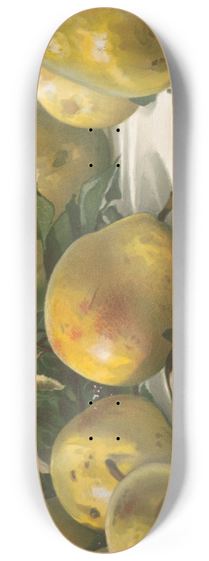 J. E. Barclay - Study of pears 8.25 inch art skate deck