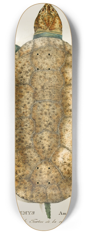 Johann Baptist von Spix - Emys Amazonica 8.25 inch art skate deck
