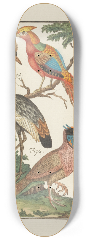 Johann Jacob Ebert - Naturlehre 8.25 inch art skate deck