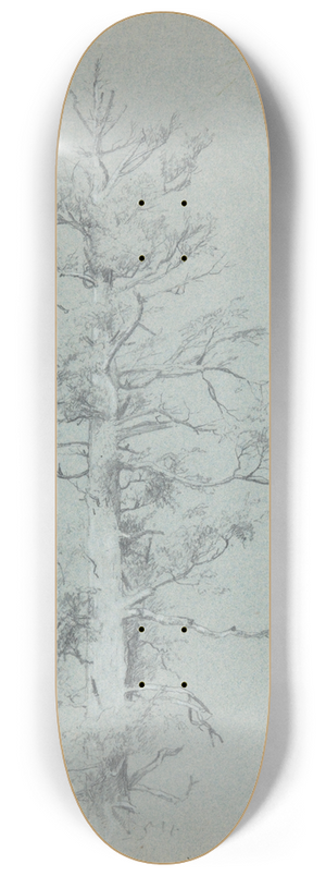 Jervis McEntee - TreeStudy 8.25 inch art skate deck