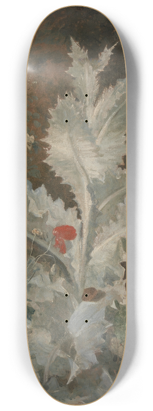 John Crome - A Thistle 8.25 inch art skate deck