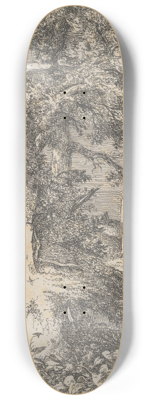John Crome - Wooded Landscape 8.25 inch art skate deck