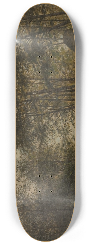 Amaldus Nielsen - Ulvegjelskogen, Mandal 8.25 inch art skate deck