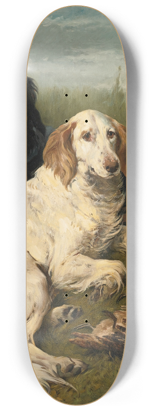 John Emms - A Days Bag 8.25 inch art skate deck