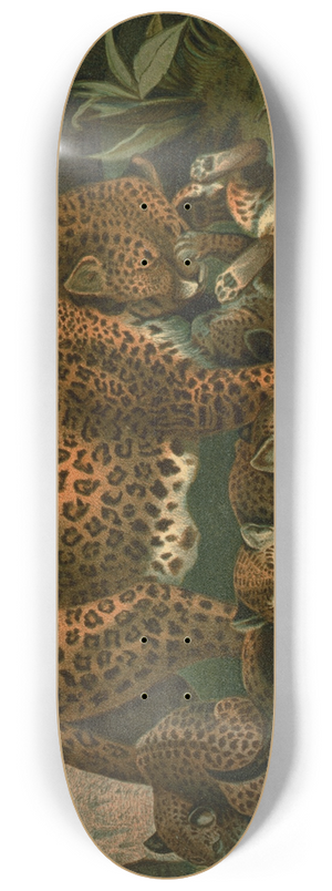 John George Wood - Leopard. 8.25 inch art skate deck