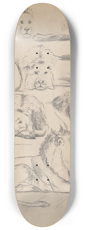 John Haberle - Studies ofLions 8.25 inch art skate deck