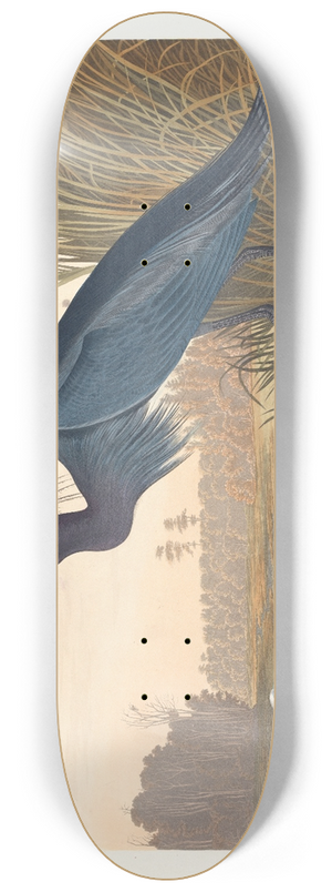 John James Audubon - Blue crane or heron 8.25 inch art skate deck