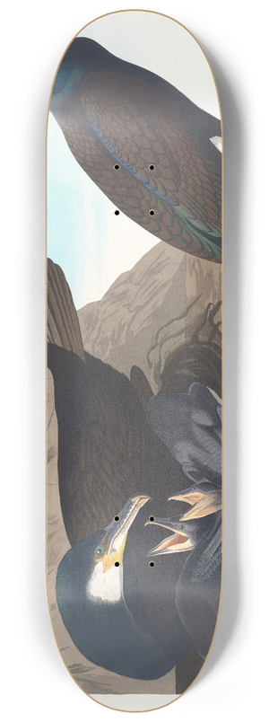 John James Audubon - Common cormorant 8.25 inch art skate deck