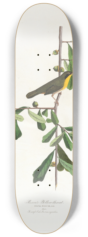 John James Audubon - Roscoes yellow-throat 8.25 inch art skate deck
