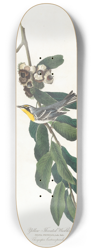John James Audubon - Yellow throated warbler 8.25 inch art skate deck