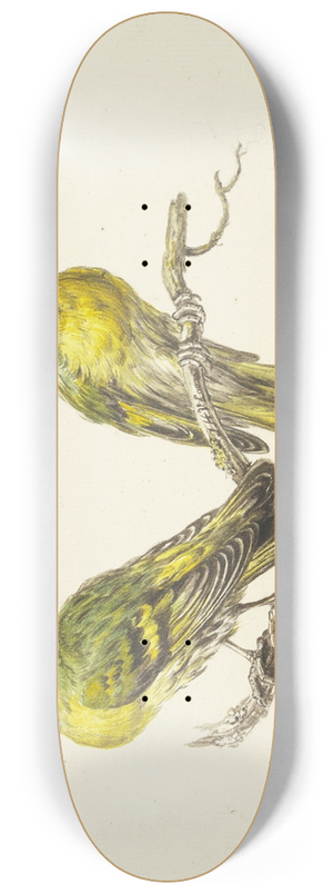J. H. Van Loon - Two linnets 8.25 inch art skate deck