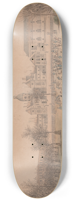 John Nixon - Skating in St. James Park 8.25 inch art skate deck