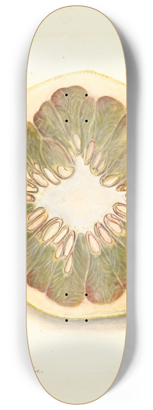 Amanda Almira Newton - Citrus grandis: 11668 Large 8.25 inch art skate deck