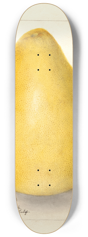 Amanda Almira Newton - Citrus grandis: Chinese Shaddock 8.25 inch art skate deck